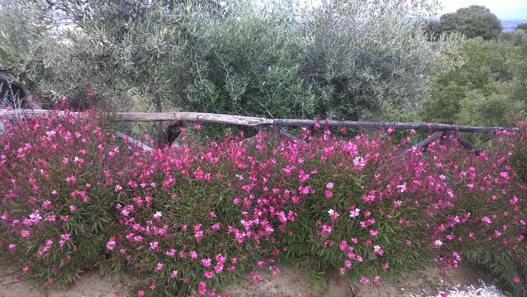 Piccolo Relais Galletto Di Marzo Spa E Relax Solo Per Due Paciano Dış mekan fotoğraf