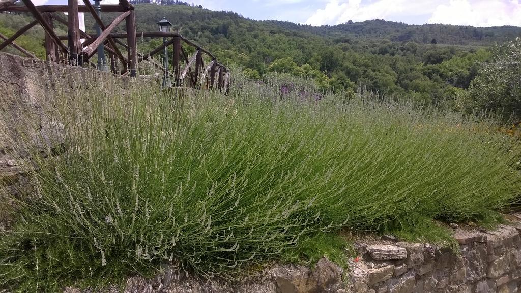 Piccolo Relais Galletto Di Marzo Spa E Relax Solo Per Due Paciano Dış mekan fotoğraf