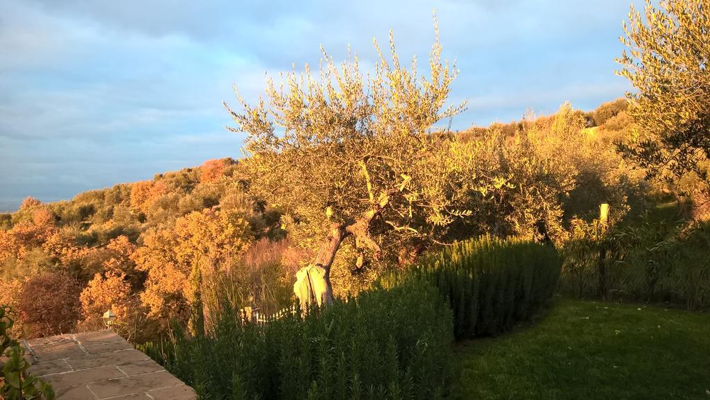Piccolo Relais Galletto Di Marzo Spa E Relax Solo Per Due Paciano Dış mekan fotoğraf